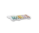 Dřevěný xylofon Viga Lední medvěd, Multicolor