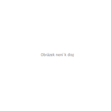 Sportovní kočárek Elma Black