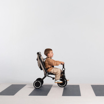 smarTrike Wonder Max sage