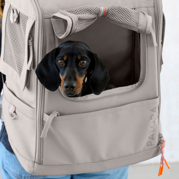 PALOPA Carrier Backpack Kari M taupe