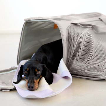 PALOPA Travel Carrier Bag Benno taupe