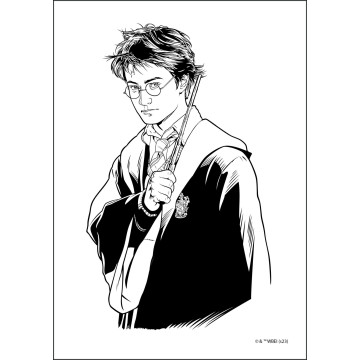 Tetování velký set Harry Potter s omalovánkami v sáčku