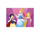 Puzzle Disney Odvážné princezny 24 dílků 26x18cm v krabici 27x19x4cm