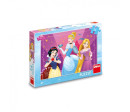 Puzzle Disney Odvážné princezny 24 dílků 26x18cm v krabici 27x19x4cm